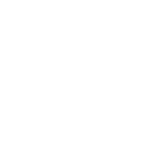 <h2>Secure SSL Payments</h2>